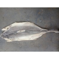 Only Dry Fish (Shark,Mori,Sora)-750gms (5-6pcs)